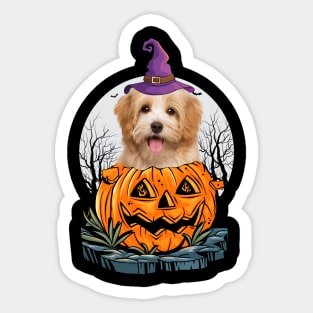 Havanese Halloween Dog Shirt With Witch Hat Pumpkin Funny Gift Sticker